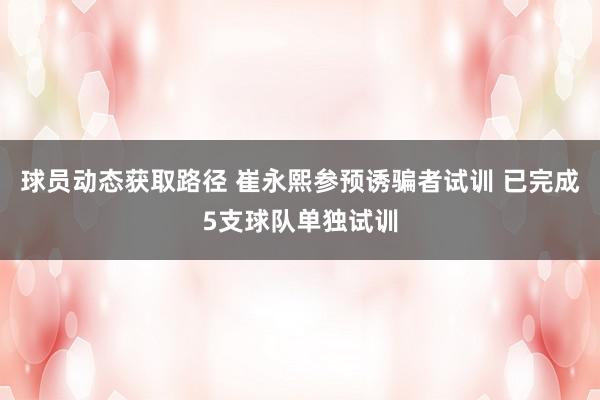 球员动态获取路径 崔永熙参预诱骗者试训 已完成5支球队单独试训