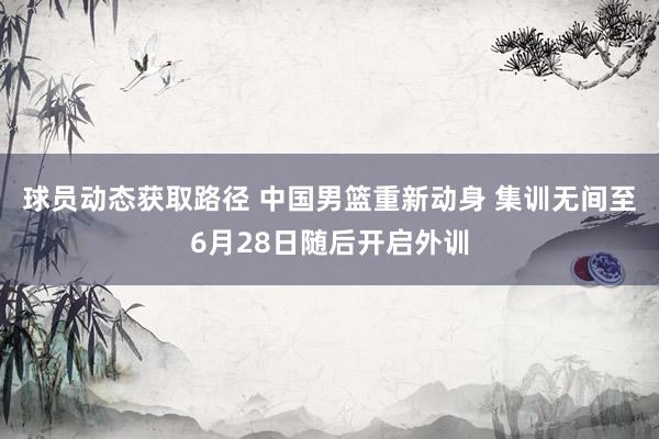 球员动态获取路径 中国男篮重新动身 集训无间至6月28日随后开启外训