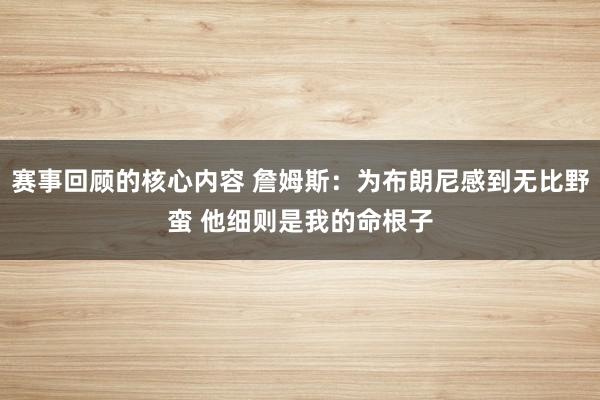 赛事回顾的核心内容 詹姆斯：为布朗尼感到无比野蛮 他细则是我的命根子