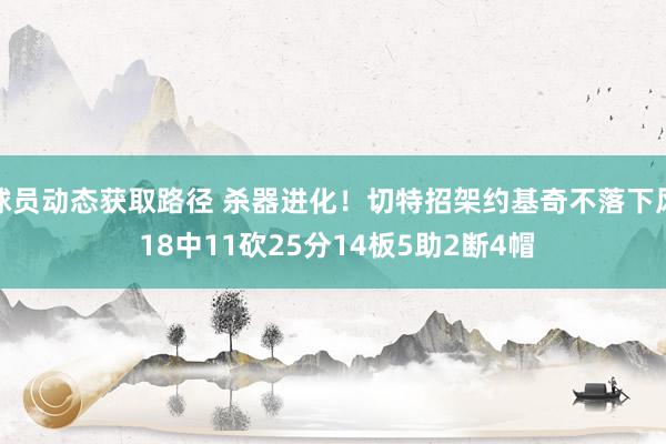 球员动态获取路径 杀器进化！切特招架约基奇不落下风 18中11砍25分14板5助2断4帽