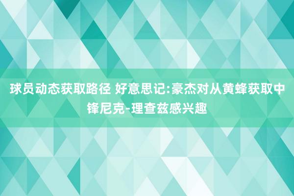 球员动态获取路径 好意思记:豪杰对从黄蜂获取中锋尼克-理查兹感兴趣