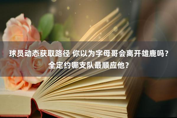 球员动态获取路径 你以为字母哥会离开雄鹿吗？全定约哪支队最顺应他？