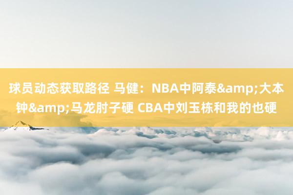 球员动态获取路径 马健：NBA中阿泰&大本钟&马龙肘子硬 CBA中刘玉栋和我的也硬