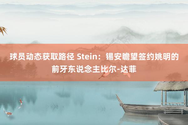 球员动态获取路径 Stein：锡安瞻望签约姚明的前牙东说念主比尔-达菲