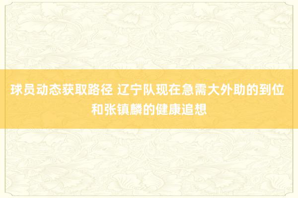 球员动态获取路径 辽宁队现在急需大外助的到位 和张镇麟的健康追想