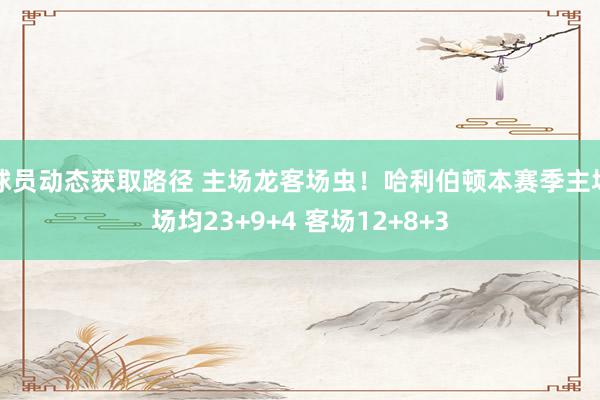 球员动态获取路径 主场龙客场虫！哈利伯顿本赛季主场场均23+9+4 客场12+8+3