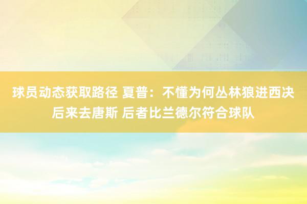 球员动态获取路径 夏普：不懂为何丛林狼进西决后来去唐斯 后者比兰德尔符合球队