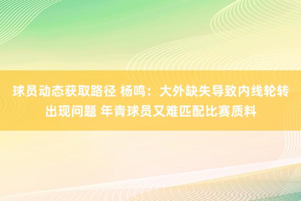 球员动态获取路径 杨鸣：大外缺失导致内线轮转出现问题 年青球员又难匹配比赛质料