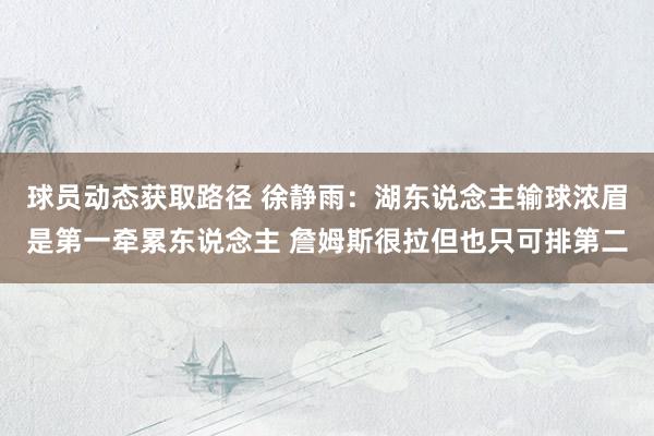 球员动态获取路径 徐静雨：湖东说念主输球浓眉是第一牵累东说念主 詹姆斯很拉但也只可排第二