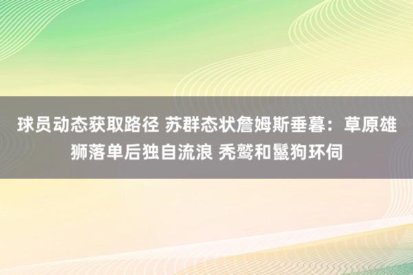 球员动态获取路径 苏群态状詹姆斯垂暮：草原雄狮落单后独自流浪 秃鹫和鬣狗环伺