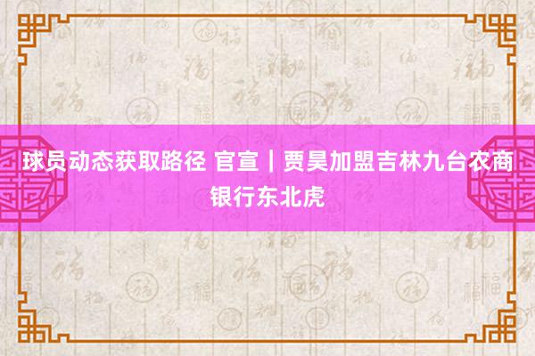 球员动态获取路径 官宣｜贾昊加盟吉林九台农商银行东北虎