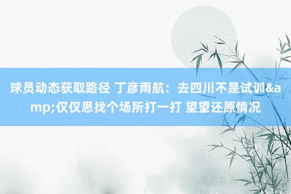 球员动态获取路径 丁彦雨航：去四川不是试训&仅仅思找个场所打一打 望望还原情况