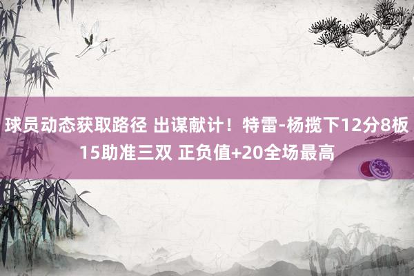 球员动态获取路径 出谋献计！特雷-杨揽下12分8板15助准三双 正负值+20全场最高