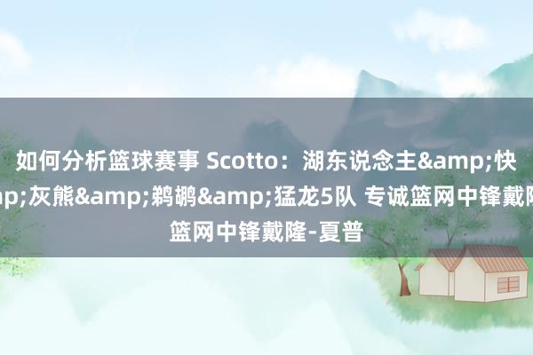 如何分析篮球赛事 Scotto：湖东说念主&快船&灰熊&鹈鹕&猛龙5队 专诚篮网中锋戴隆-夏普