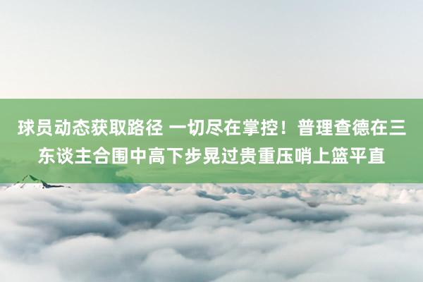 球员动态获取路径 一切尽在掌控！普理查德在三东谈主合围中高下步晃过贵重压哨上篮平直