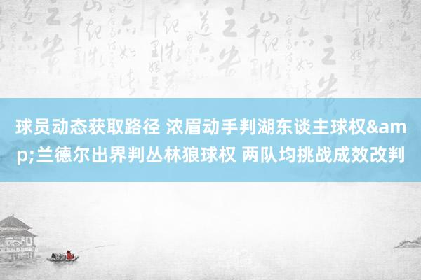 球员动态获取路径 浓眉动手判湖东谈主球权&兰德尔出界判丛林狼球权 两队均挑战成效改判