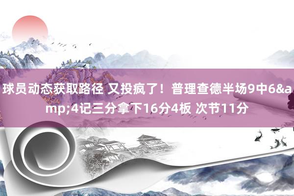 球员动态获取路径 又投疯了！普理查德半场9中6&4记三分拿下16分4板 次节11分